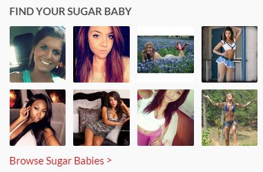 Sugar Babies
